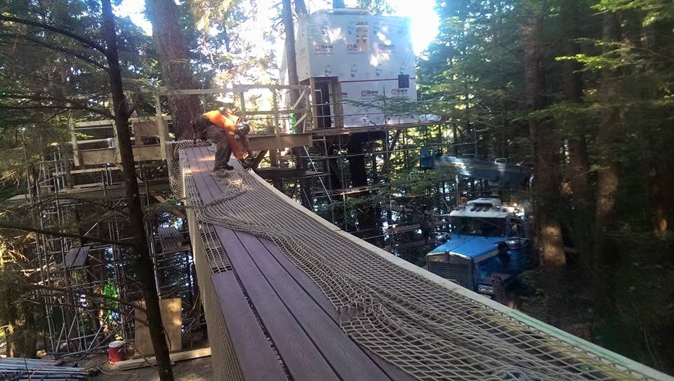 Elevated suspension bridge access to a remote treehouse construction project in forested terrain