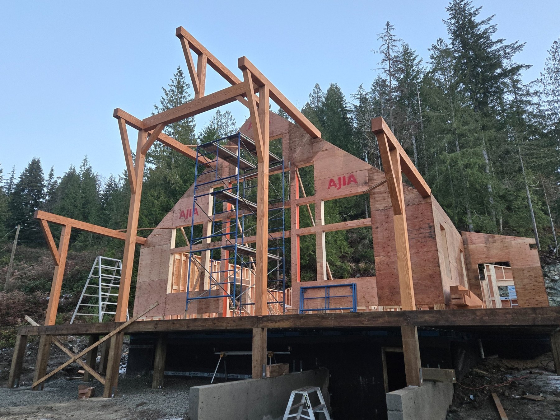 Structural Timber Framing